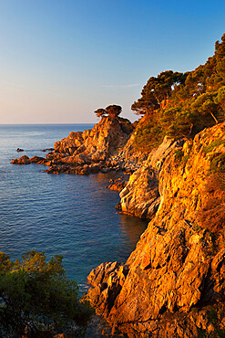 Coastline at dawn, Calella de Palafrugell, Costa Brava, Catalonia, Spain, Mediterranean, Europe