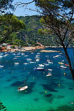 View over bay, Aiguablava, near Begur, Costa Brava, Catalonia, Spain, Mediterranean, Europe