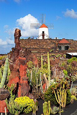 Jardin de Cactus (Cactus Garden), Guatiza, Lanzarote, Canary Islands, Spain