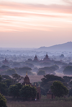 View of Temples at dawn, Bagan (Pagan), Mandalay Region, Myanmar (Burma), Asia