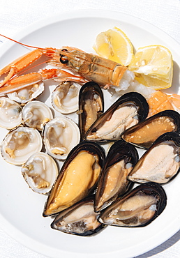 Traditional dish of di pesce crudo (raw seafood), Puglia, Italy, Europe