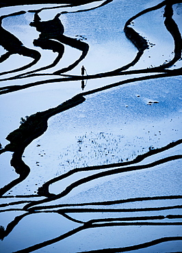 Duoyishu Rice Terraces at dawn, UNESCO World Heritage Site, Yuanyang, Yunnan Province, China, Asia