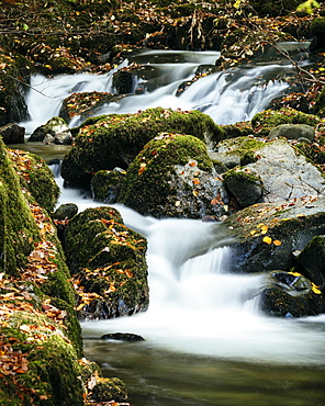 Stock Ghyll Force Waterfalls, Ambleside, Lake District National Park, UNESCO World Heritage Site, Cumbria, England, United Kingdom, Europe