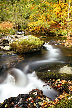 Aira Force, Lake District National Park, UNESCO World Heritage Site, Cumbria, England, United Kingdom, Europe