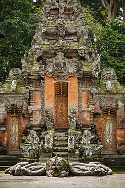 Monkey Forest Sanctuary, Ubud, Bali, Indonesia, Southeast Asia, Asia