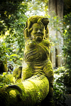 Monkey Forest Sanctuary, Ubud, Bali, Indonesia, Southeast Asia, Asia