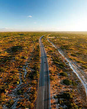 Aerial view of road, Western Cape, South Africa