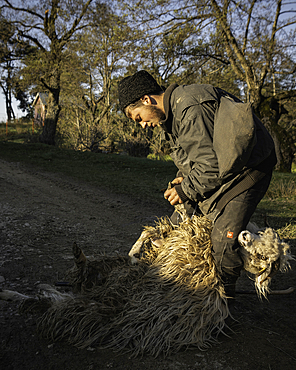 Shepherd near Nucsoara, Arges County, Muntenia, Romania, Europe