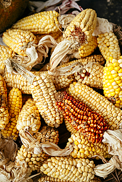 Corn cobs, Chilco Community, Angochagua Parochia, Imbabura Province, Ecuador