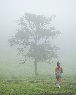Woman hiking through forest on Sierra Negra volcano, Isabela Island, Galapagos Islands, Ecuador