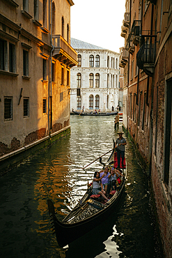 Gondola taking tourists along canals, Castello, Venice, Veneto, Italy