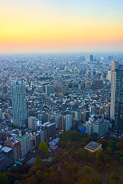 Cityscape view at sunset from the Tokyo Metropolitan Government Building, Tokyo, Japan, Asia