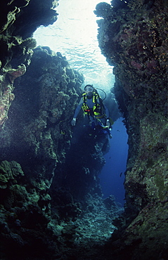 Diver swimming between coral walls