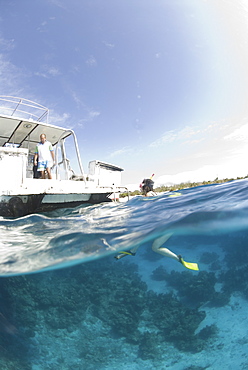 Snorkeller at surface approaching boat, Maria La Gorda, Cuba, Caribbean