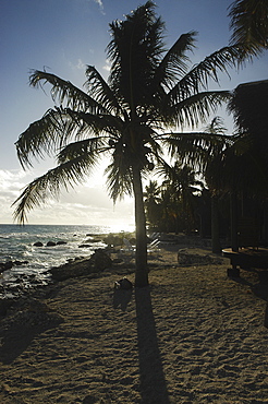 Beach and palmtrees on Raiatia, French Polynesia