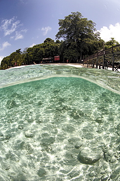 Over/sub surface view tropical island. Borneo, Malaysia (A4 only).