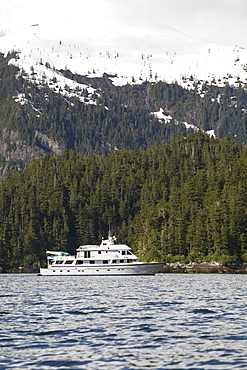 The American Safari Cruises yacht Safari Spirit operating in Southeast Alaska, USA. Pacific Ocean.