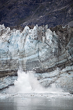 Johns Hopkins Glacier calving in Glacier Bay National Park, Southeast Alaska, USA. Pacific Ocean. Harbor Seals (Phoca vitulina) often rest on icebergs in front of the glacier face.