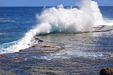 Wave crushing on rock, Tonga, Tongatapu 