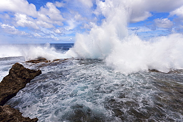 Wave crushing on rock, Tonga, Tongatapu 