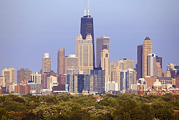 Skyscrapers in downtown, USA, Illinois, Chicago