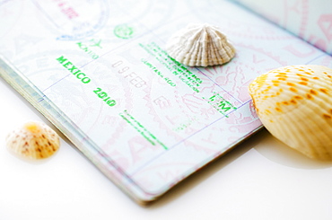 Studio shot of passport with seashells