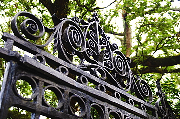 USA, South Carolina, Charleston, Close up of ornate iron gate