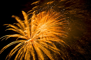 Fireworks explosion against night sky