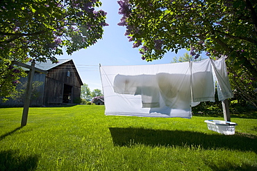 Clean sheets hanging out to dry on spring day, USA, Vermont, Dorset