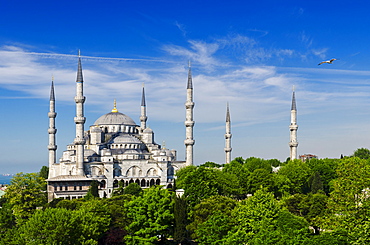 Turkey, Istanbul, Blue Mosque 
