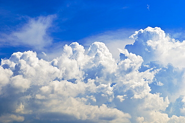 Fluffy white clouds