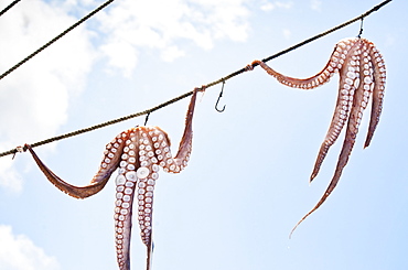 Greece, Cyclades Islands, Mykonos, Sun drying octopus on fishing boat