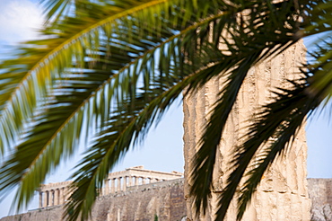 Greece, Athens, Palm fronds near Temple of Olympian Zeus