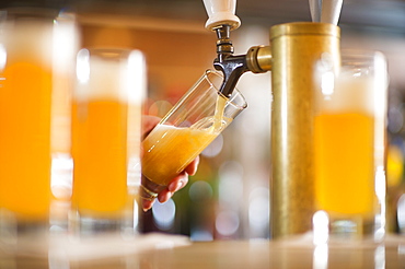 Barman poring beer from beer tap 