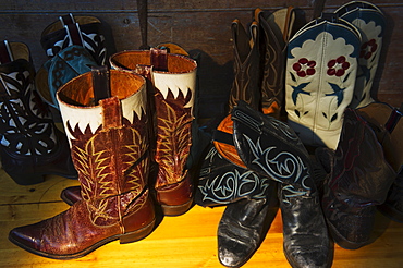 Variation of cowboy shoes