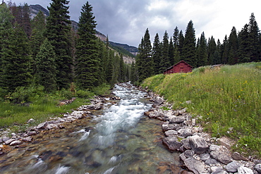 Creek in National Forrest, USA