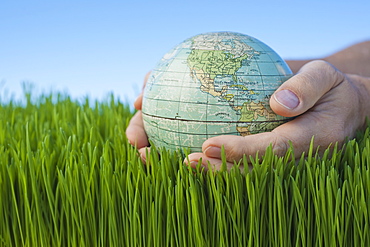 Male hands holding globe over grass