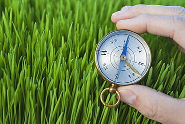 Male hand holding compass over grass