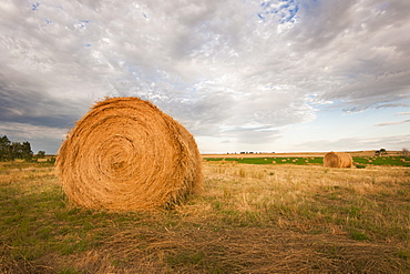 Straw bale on field