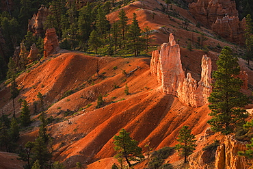 Bryce Amphitheater, USA, Utah, Bryce Canyon