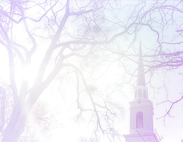 Church steeple behind tree branches, North Carolina