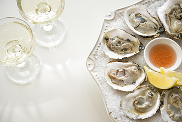 Studio shot of white wine and oysters