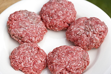 Still life of plate of hamburgers