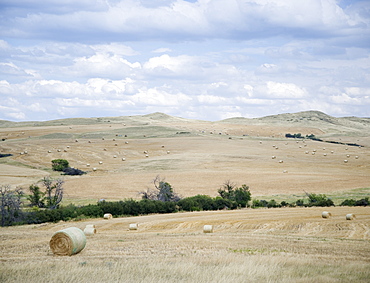 Hay bales southern Montana USA