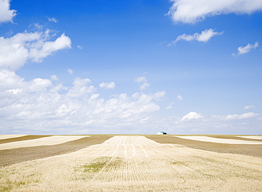 Farmland Billings Montana USA