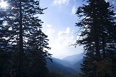 Smoky Mountain National Park USA