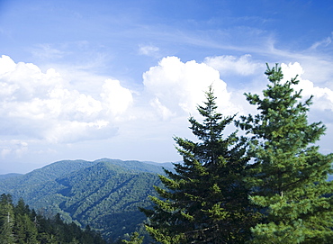 Smoky Mountain National Park USA