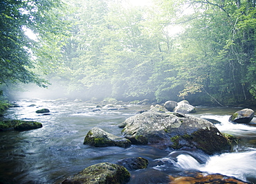 Smoky Mountain National Park USA