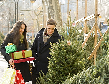 Couple shopping for Christmas trees