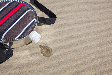 Oregon, Florence, Empty water bottle lying on sand dune